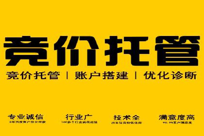 成功案例揭秘：sem账户托管的转化率奇迹